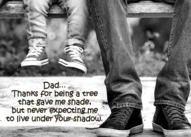 Birthday Quotes For Dad From Son