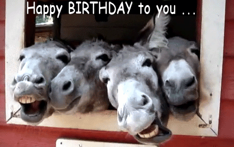 funny happy birthday messages