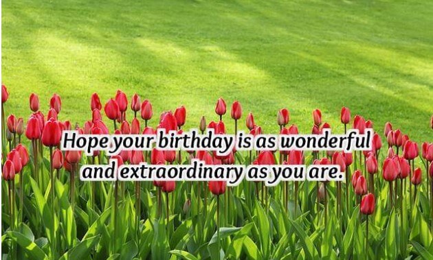 Happy Birthday Quotes and Wishes For a Friend With ...