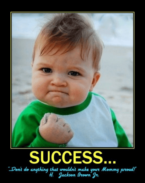 What is success funny quotes