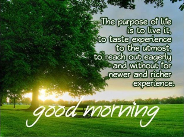 Have A Good Morning Quote