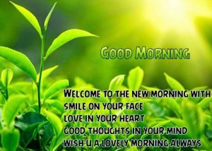 40 Best Good Morning Quotes, Sayings & Whatsapp Status for Love 2022 ...