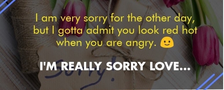 How To Say Sorry To Your Girlfriend In A Romantic Way