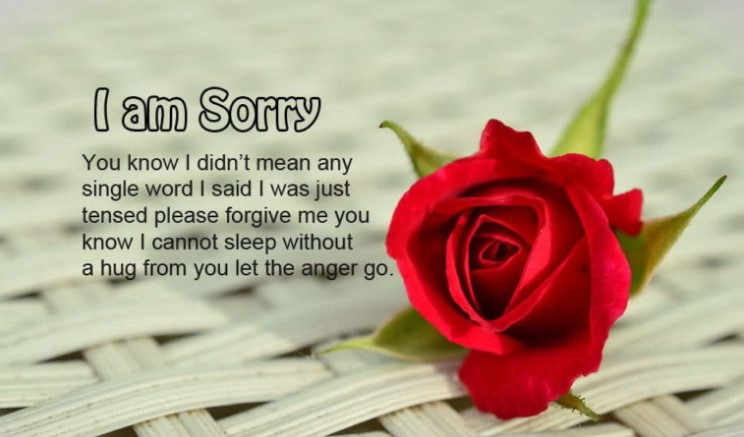 I Am Sorry Love Quotes For Everyone