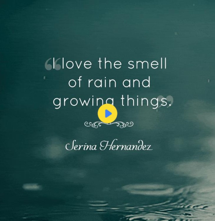 Rain Pictures With Quotes For Facebook