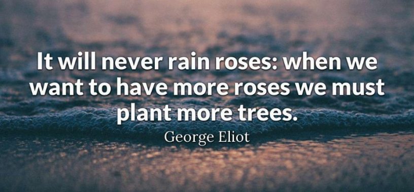 50 Best Rainy Day Quotes and Sayings 2022 - Quotes Yard