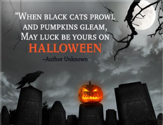 Halloween Quotes About Bats