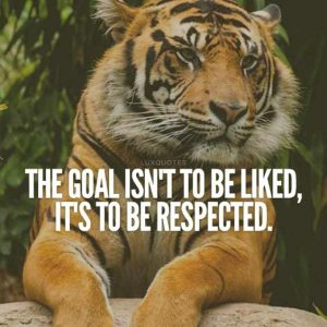 Best Respect Quotes Images Sayings 11