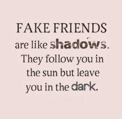 Fake Friends Status