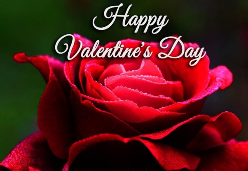 99 Romantic long Valentines Day Messages and Wishes 2022 - Quotes Yard