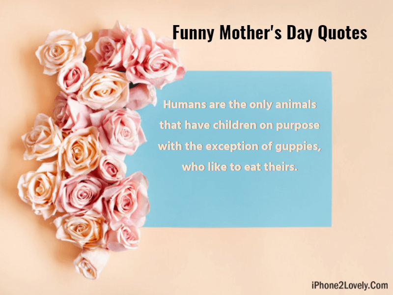 90 Best Happy Mothers Day Funny Messages and Wishes 2022 - Quotes Yard