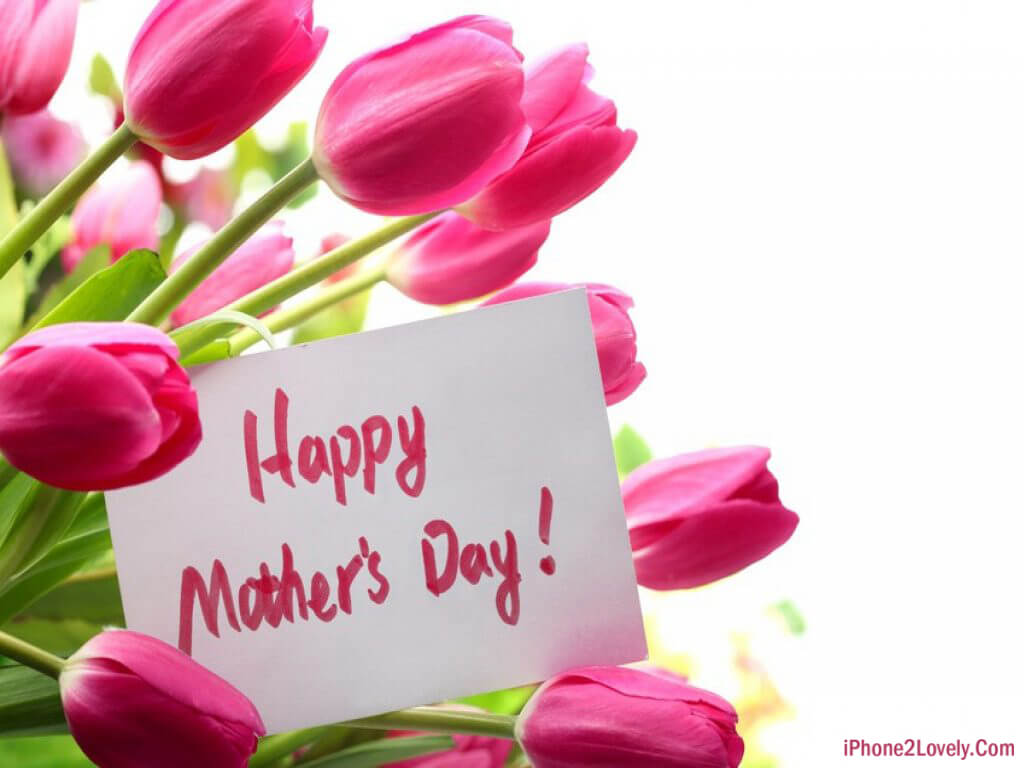 Mom Day Wallpaper Pink Color Flowers