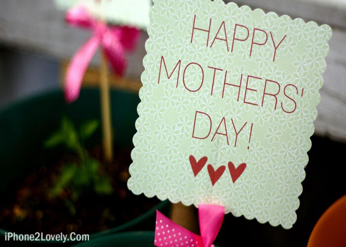 Mothers Day Wallpapers