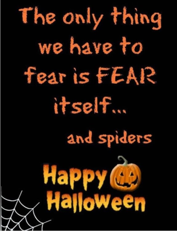 Halloween Quotes Bats