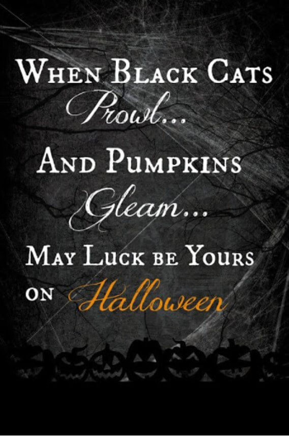 Halloween Quotes Couple