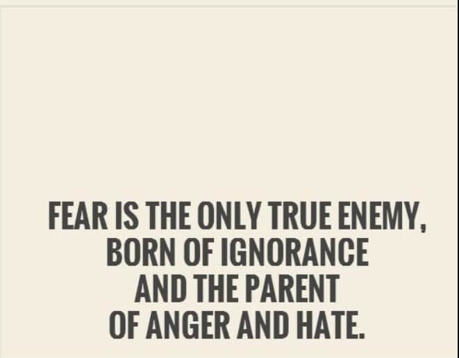 Ignorance Is Contagious Quotes