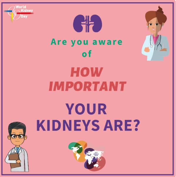 Living Kidney Donor Quotes