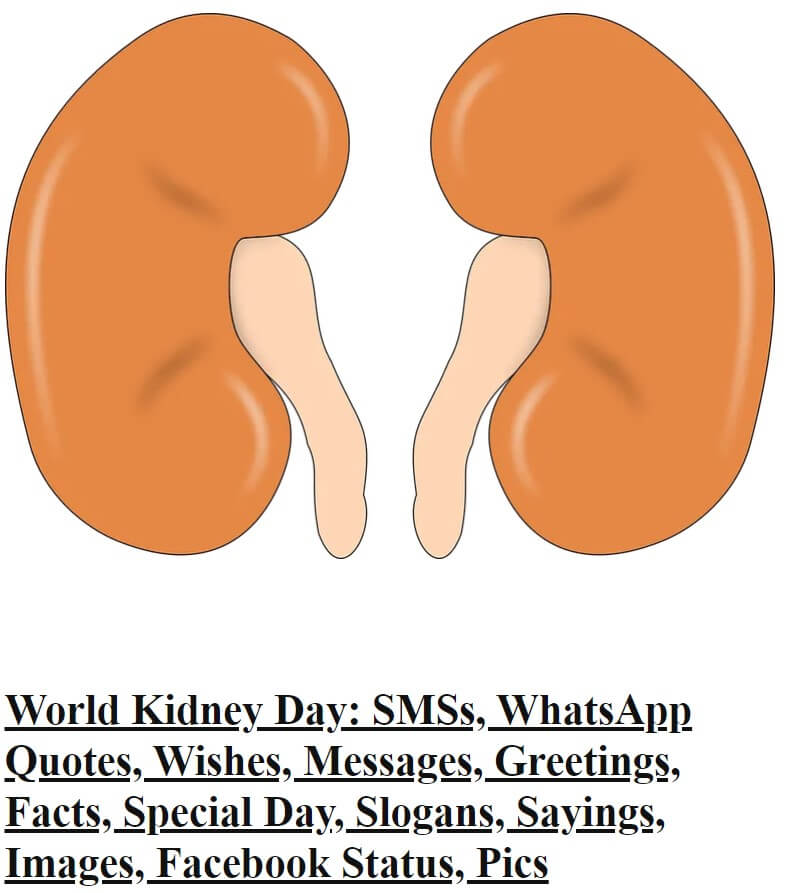 Quotes About Chronic Kidney Disease