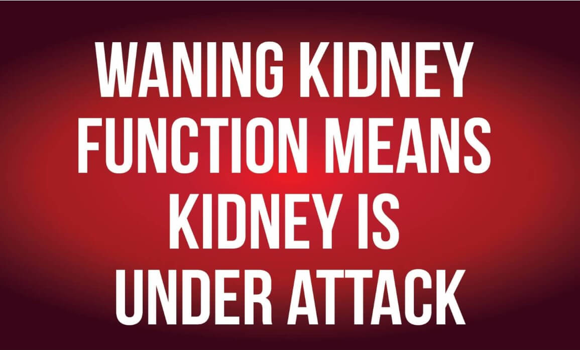 Quotes On World Kidney Day