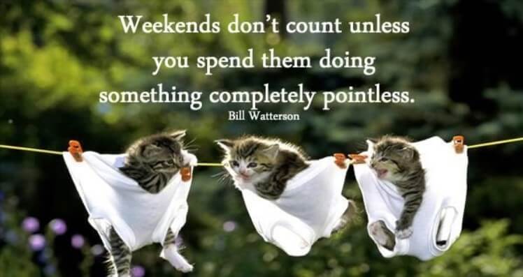 Weekend Quotes And Saying