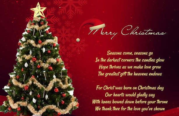 Christmas Quotes And Sayings Funny